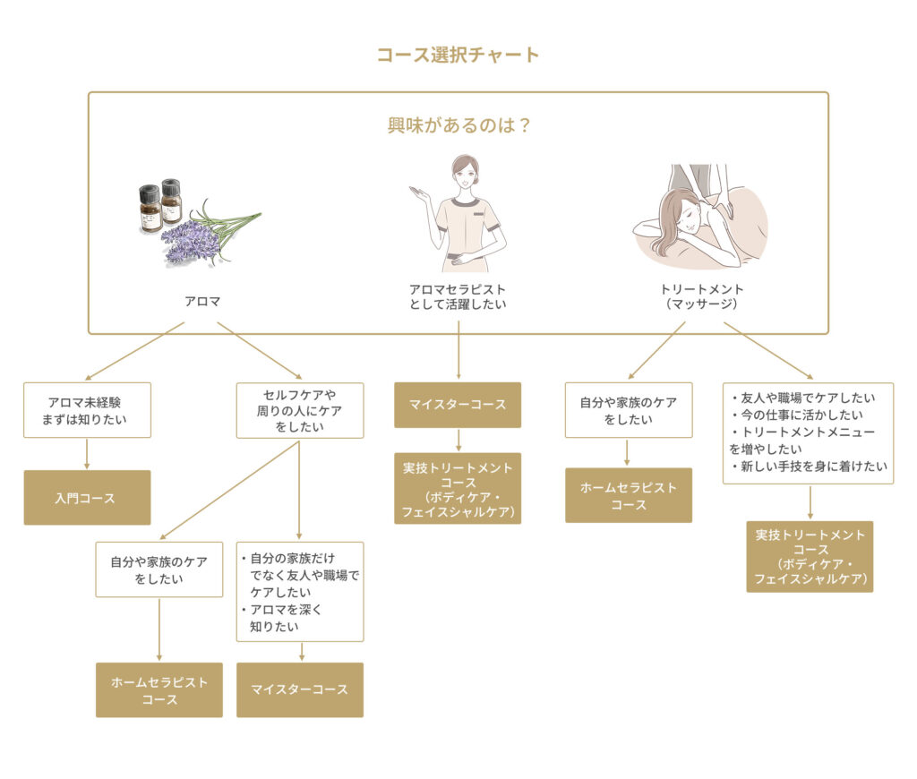 メディカルアロマスクール コース選択チャート